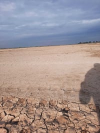 ٤٠ دونم عقد ١١٧ + ١٠ دوانم سند ٢٥ تبعد ع الشارع العام ٢٠٠ متر متوفر كه...