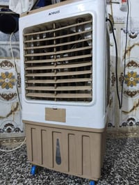 مبرده • نوال • شغالة