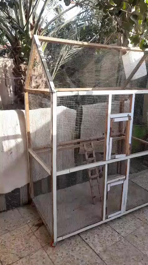 متاح قفص استخدم قليل سعره 30 بصره قرنه ***********
