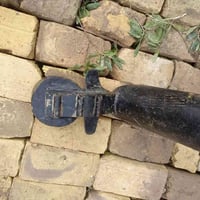 صالنصه • بكستاني • المجر الكبير