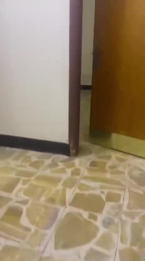 متوفر بيت في حي اور قرب جامع اهل الكساء مساحتة ٣٠٠م بيه ٣ غرف واستقبال ومطبخ وصحيات د


**إذا كنت صاحب هذا الإعلان وتريد حذفه لأي سبب، رجاءا أرسل رسالة إلى الدعم الفني**