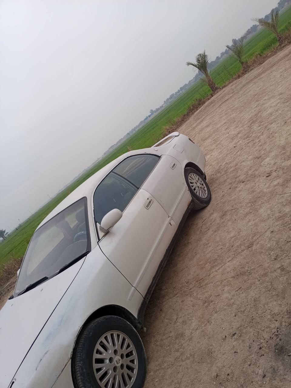 السلام عليكم شيزر موديل 93 كفاله عامه كير  مكينه ثنين ونص بل صندوك مكفوله من ضربه من كصه من كلشي  تبريد شغال  سياره بسمي مداور ثاني يوم رقم بغداد سنويه لل28 السعر 55وبيهه مجال مكان سياره نجف ***********
