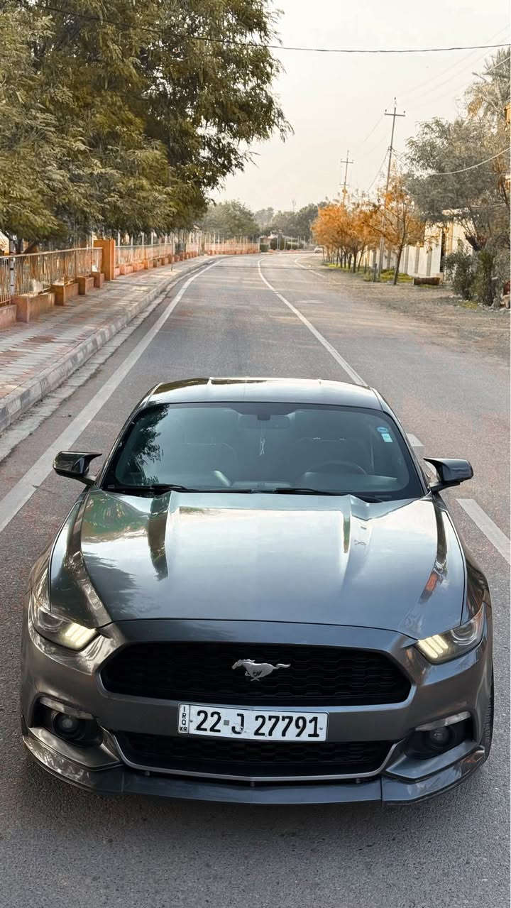 سلام وعليكم
فورد موستنك 2016 لون نفطي لامع *
الفئة V6 ( ستة سلندر) فول مواصفات 

رقم اربيل سنوية جديدة بأسمي .. 
للبيع او مراوسة حسب القناعة ..

ماشية ٧٥ الف
السيارة جديدة كاملة وبدون نقص ( تايرات جدد )
عليهه برمجة وطلقات سيفتي
وعليهه صالنصة HT power واكس بايب وداون بايب محرك وكير واكسل بشرط

مواصفات :
بلاجكتور بلاد
كشن كهرباء
فول تحكمات ستيرن
كامره دوارة
تشغيل عن بعد شفتات ستيرن

اضافات :
بك لايت ٢٠٢٣ سموك
ويالة فوزن
لحية سيرفيني
دعامية خلفية جيتي
سبايدر
سكوبات جانبية
دوسات جيتي
• دفيوزر

السيارة حادثهه بأمريكا خفيفة بدون دواخل و شواصي
وهنا بالعراق مصبوغة خمس قطع اثر شخوط اني ابيعه حزام بدون دواخل ..

مكان السيارة ديالى / خانقين
سعرهه ١٣٤ وبي مجال بسيط ..
للاستفسار   *********** خناقين, ديالى
