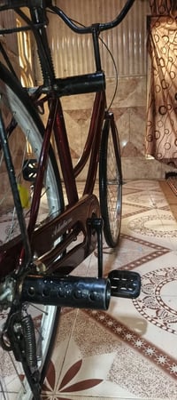 بيسكل • سعر خاص