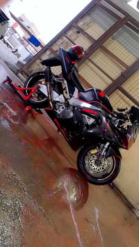 شعب • CBR 929 • مغلفة كاربون فايبر