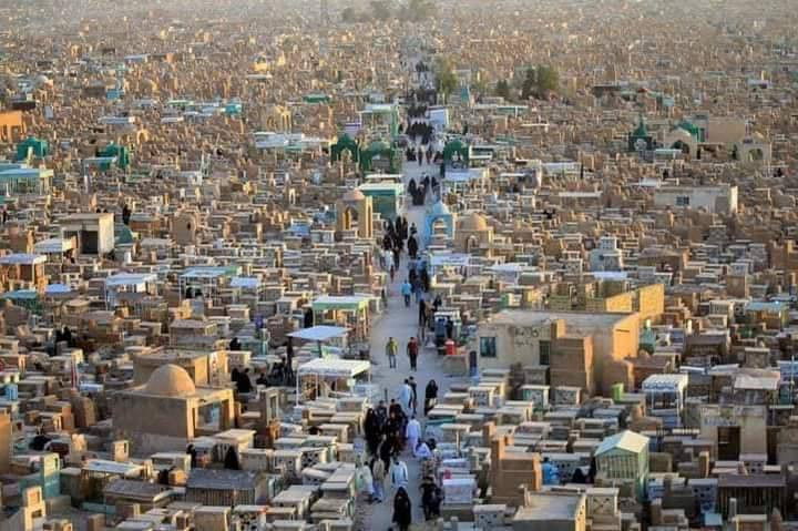 بسم الله عيد مبارك ع جميع ان شاء الله 
برنامج الحملة يوم عرفة وليلة العيد تفاصيل بالصور للحجز والاستفسار *********** محمد الماجدي..

