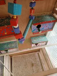 قفص • ٦ حبانات • ٦٠×١٣٥