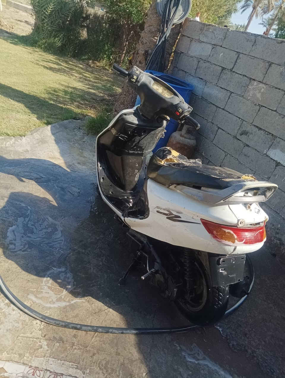 سلام عليكم  فراشة للبيع نضيفه كلشي شغال بيه كهربائيات هندر شغال  فقط رايدلها باتري  سعر 200وبيه مجال مكاني بابل ناحيه النيل


**إذا كنت صاحب هذا الإعلان وتريد حذفه لأي سبب، رجاءا أرسل رسالة إلى الدعم الفني**