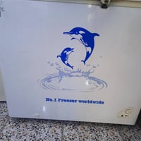 مجمده للبيع ام الدولفين بيضه حجم وسط   السعر 175 وبيها مجال   نضيف اخو...