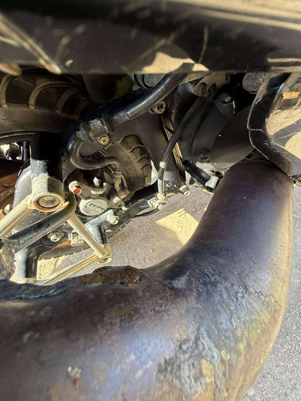 السلام عليكم فورزه 09دراجه كامله ع اخر حبايه كله شغال فقط الكير  اني فاتح الكلج تريد تاخذه عميه تريد اشغلك الكير دراجه فول نضافه مكاني بابل ناحية النيل اوراق كامله سعر مليون 200

***********
