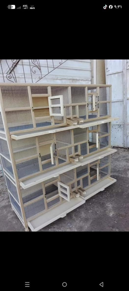 مستعدين لتجهيز اقفاص وخانات وحاضنات خشب للطيور بأجمل التصاميم طبعا جودة ممتازة ومتانة كلشي مميز وجديد تلگو يمنه بأسعار مناسبة الي يحب يستفسر يتواصل على الوتساب ***********‏
