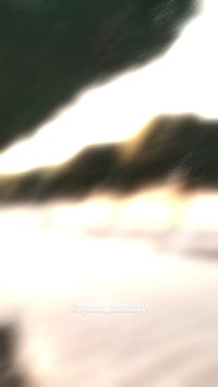 كامري • وارد