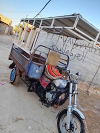 ستوته • فحل • موديل 18