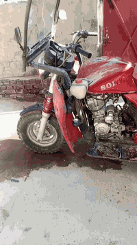 ستوته فحل للبيع مكان تاجي الشط قرب معسكر التاجي سعر مليون ورب/07515639...