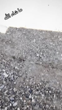 كيا للبيع سنويه جديده الى 31 شرط التحويل استفسار الرقم 07508401891