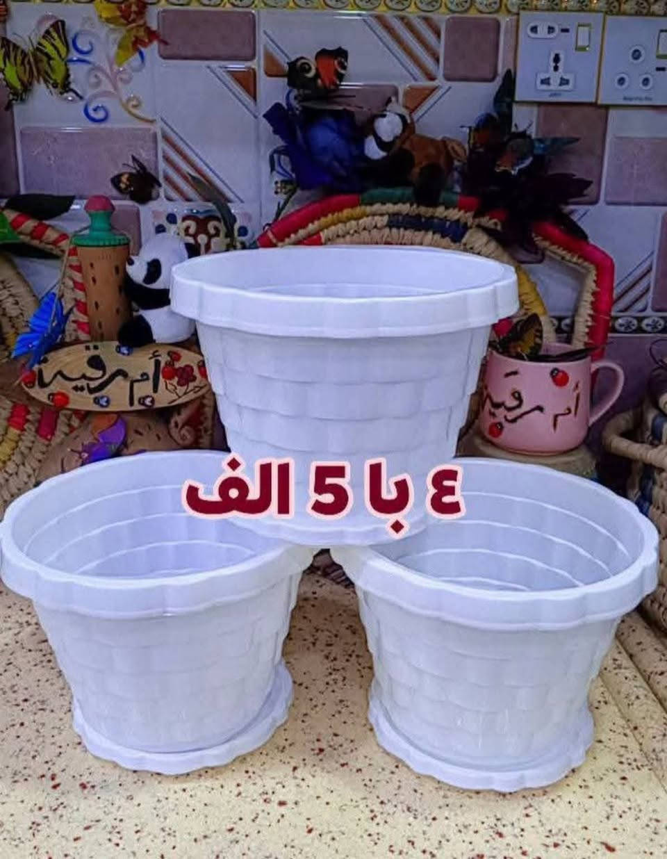 🐼🌿 أم رقية للزهور والنباتات 🌿🐼
✨ خلي نباتاتك تحكي جمالها بلمسة كيوت ✨
متوفر باندا إكسسوارات النباتات 🐼🪴
يضيف شكل مميز وحلو لعصا موسى والنباتات الداخلية 🌱
💚 أشكال جميلة تناسب كل محبي الزرع
🎁 فكرة رائعة للديكور والهدايا
⭐ كمية محدودة لا تفوتكم
🚕 توصيل لجميع محافظات العراق
📲 للحجز والاستفسار واتساب: ***********
#ام_رقية_للزهور_والنباتات
#نباتات #ديكور_البيت #اكسسوارات_نباتات #العراق
