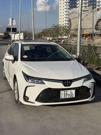 كورلا هايبرد • ٢٠٢٥ • مرقمه بغداد