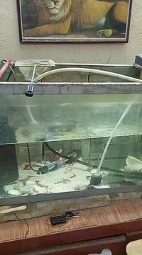 حوض اسماك • قابل تفاوض