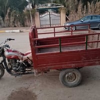 ستوتة • موديل 15 • بدون أوراق