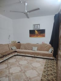النجف • حي جمعيه • طابو ٥٦م
