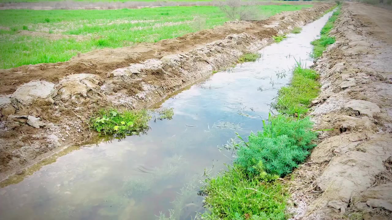 2دونم ونص.   ابسعر البلاش  ماتتوقع السعر 
العنوان خلف جامعه بابل.   ***********
