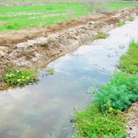 ٢٫٥ دونم • خلف جامعه بابل • بسعر بلاش