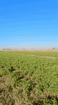 📢 إعلان رقم 804 – 
✦────────────────────✦
🌾 أرض زراعية للبيع – المساحة 5 دوانم
📐 واجهة الدانم: 13.5 متر
🖼️ باقي التفاصيل داخل الفيديو
📍 الموقع: بغداد – الراشدية / منطقة السوامرة
للاستفسار والمزيد من المعلومات 👇
📩 مراسلة الصفحة أو الاتصال:
📱 *********** – واتساب
📱 ***********
📱 ***********
#أرض_للبيع #عقار_بغداد #الراشديه #السوامره
#اراضي_زراعية #عقارات_العراق #استثمار_عقاري
#عقارات #realestate
