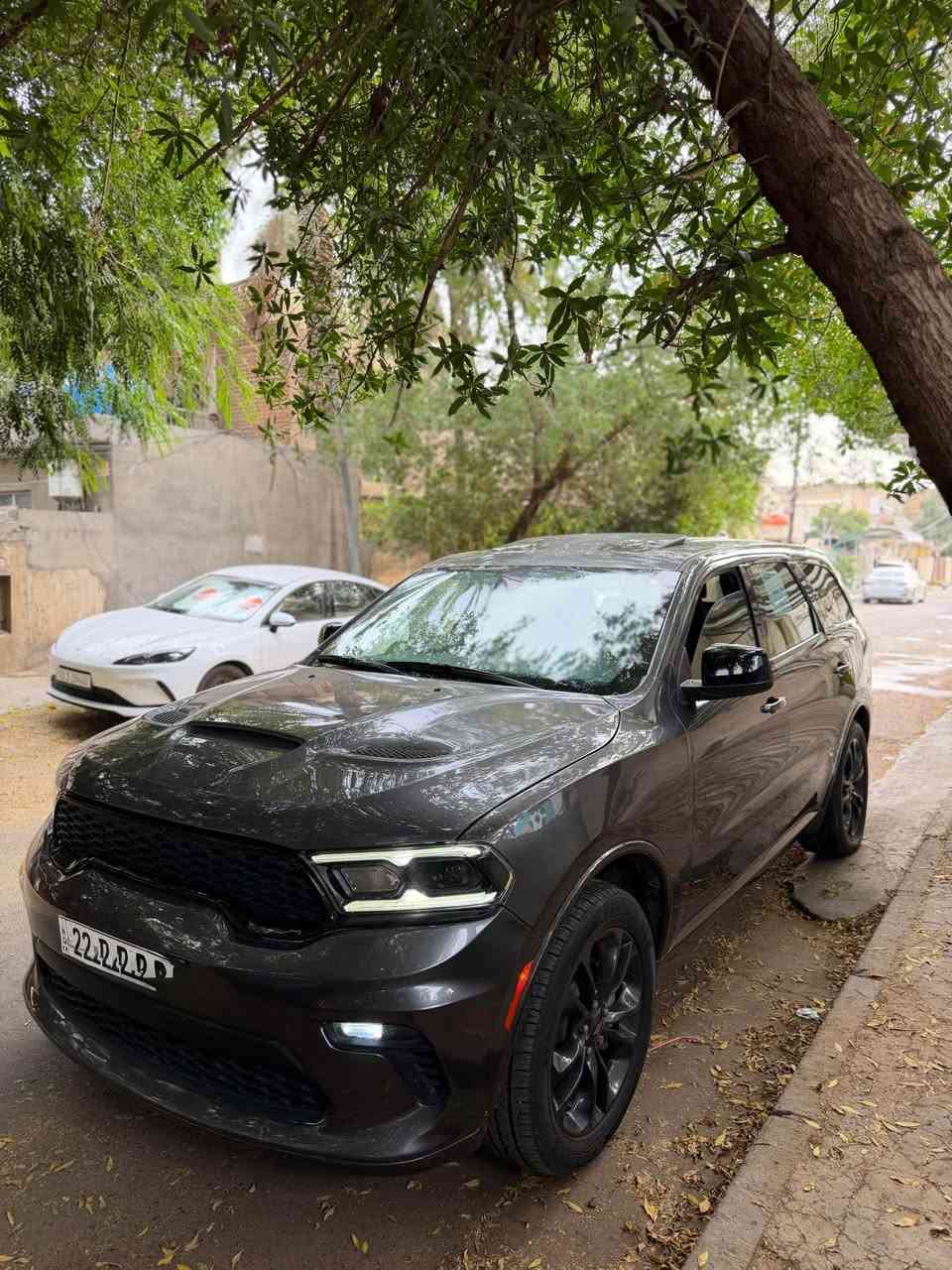 دورنكو 2021
رقم شمالي تحويل مباشر
مواصفات gt فول الفول
كشنات منفصل Vip 
شاشة جبيره كاربلي
بنيد srt 
ويلكب 20 
سستم صوت
كشنات وستيرن تدفئة 
كشنات كهرباء
شفتات ستيرن
تشغيل عن بعد
تبريد 3 قطع
حساسات خلفيه ورادار
7 راكب
فتحة سقف
حادثها حافة الجاملغ وبنيد مبدل فقط 
بدون دواخل بدون شاصي بدون لغد
السعر 265 وبيها مجال
مكاني بغداد صليخ 
*********** بغداد, العراق
