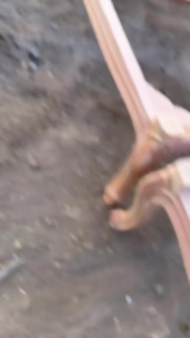 تم بفضل الله الانتهاء من تاني مجلس عربي
 نفزناه ع ارض #دمياط 
يوجد لدينا تنفيذ جميع أشكال الصالونات الحديثه والمجالس العربيه متاح شغل ابيض 
ومتاح تشطيب 
#العنانيه جمهوريه 🥇
للاستفسار 01009292532📲


**إذا كنت صاحب هذا الإعلان وتريد حذفه لأي سبب، رجاءا أرسل رسالة إلى الدعم الفني**