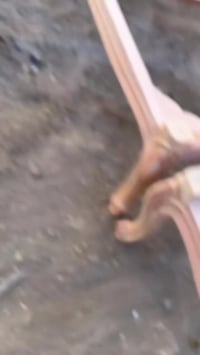 مجلس عربي • شغل أبيض • دمياط