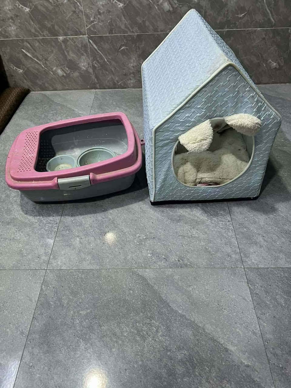 للبيع بيت قطة موصل ايسر الشري يدفع سعر


**إذا كنت صاحب هذا الإعلان وتريد حذفه لأي سبب، رجاءا أرسل رسالة إلى الدعم الفني**