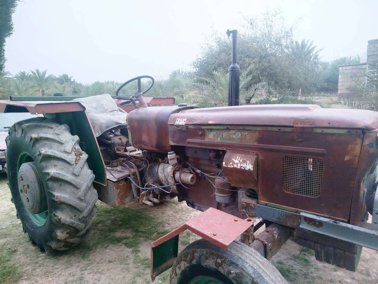 عنتر 93 سنويه اصولي وياهه وكاله من المالك وياهه فدان  سعر 6مليون وبيه مجال مكان بابل الشوملي  
***********
