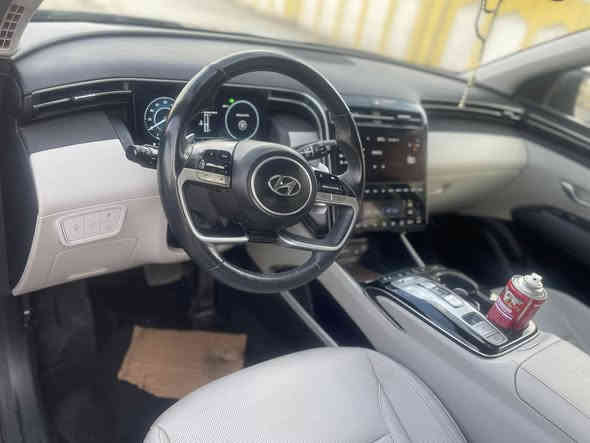 فول الفول هايبرد ٢٠٢٣ للبيع *********** قطعه واحده صبغ بنيد
