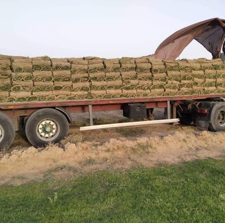 هندي درجه اوله توصيل كافت محافظات مع كادر عمل فرش وتاسيس مرشات ***********
