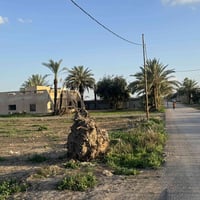 مساء الخير دونم اونص دونم للبيع وعدي 700 و 500 و 350 متر طابو زراعي سن...