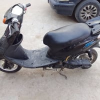 عصفورية • ٦٠ • فحل
