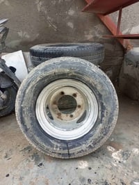 حجم ١٣ • فحل • بعقوبة