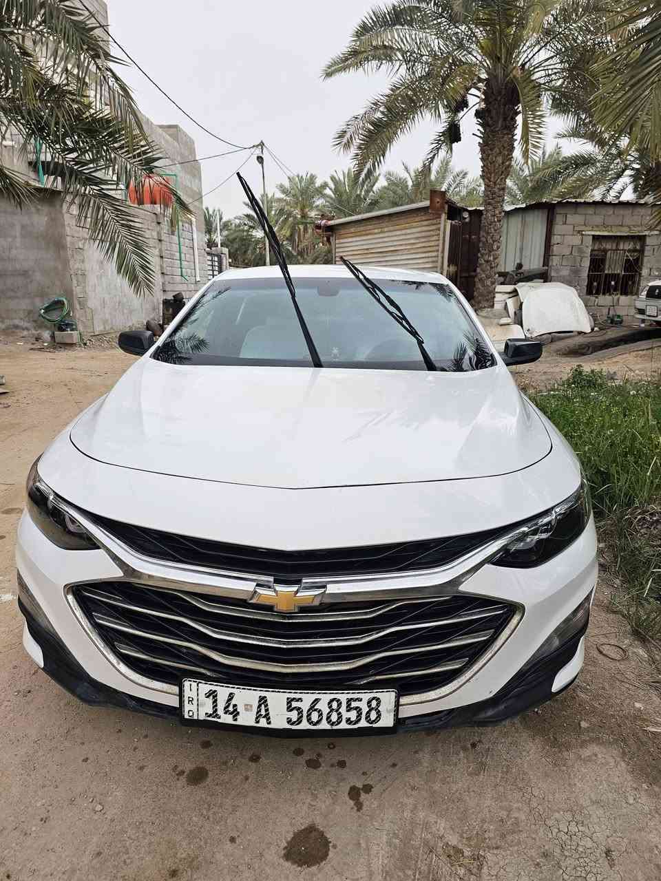 ماليبو موديل 18لون ابيض حره بسمنه بصره وارد امريكي سياره محدثه 20 مواصفات ال تي يعني فول ماعدا التنته كير اي تي المرغوب ***********/السعر 95 وبيه مجال بسيط الطيبين
