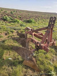 سجه • للبيع