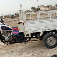 ستوته صقر للبيع بس بديه مال امتيارسعر دك عليه وبيك خير وتدلل وهاذه رقم...