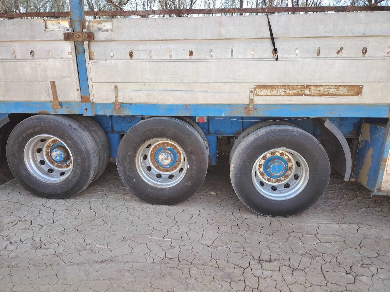 سلام عليكم عربانه ألمانيا البيع ***********
