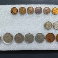 ١٥ قطعة • ملكية • للبيع