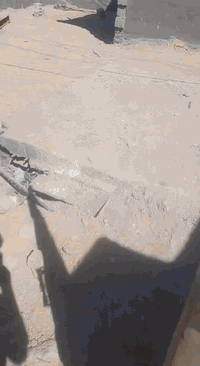 السلام عليكم
بيت للبيع موقعه بشارع 80 المساحة 170
البناء غرفه و هول ومطبخ و صحيات داخليه وخارجية البيت بي نقص بس بورك وبيتونه وارضية  و البيت بي معاملة قريب ع شارع 80  بالطابو الاستفسار الأتصال على الرقم ***********
