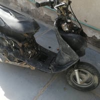 فراشة فحل • ديوانية • جوم حديد