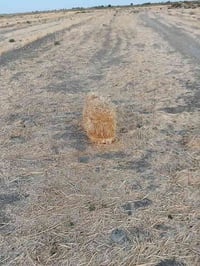 أرض زراعية • ٣٥ دونم • المريبيع الرفاعي