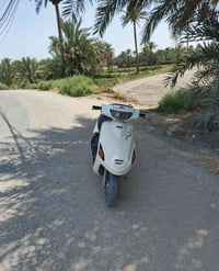 فراشة • ناعمه • مشي