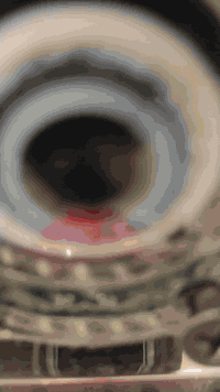 توكتوك • كفالة عامة زيرو • أوراق