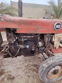 فوركسن 1967 • الكرمة