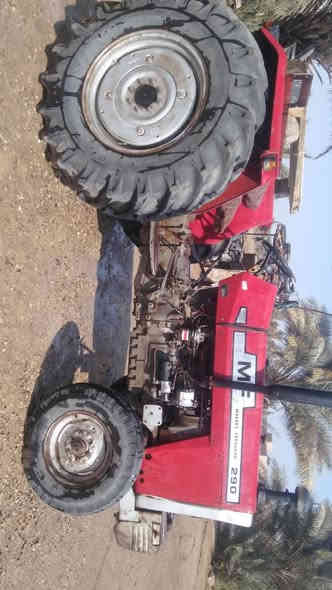 بسم الله والصلاة والسلام على سيدنا محمد
فوركس  انكليزي موديل ٨٢لل بيع  رقم انبار ألماني تحويل مباشر سنويه جديده لل ٢٩ كير محرك واكسل كفاله تخم تاير جديد شديته ستيرن دنفص هيدروليك كهربائيات كله شغاله سعره ١٣ مليون بيه مجال قليل مكان رمادي زنكوره مكينه مال جناي ما متعوبه بعده شركه صبغ بس البنيد فقط والباقي محرك وكير واكسل  صبغ الشركه  شراي يتصل وتدلل ***********  وقت الاتصال من ساعه ٨ صباحا إلى ١٠ مسآء
