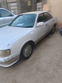 رخصة الادمن • كفاله اصوليات • بصره ابو الخصيب